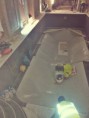 /album/swimming-pool/a12507259-10204129134307296-2705235466842405106-n-jpg/