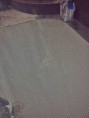 /album/swimming-pool/a12540804-10204129133787283-2335988671795461078-n-jpg/